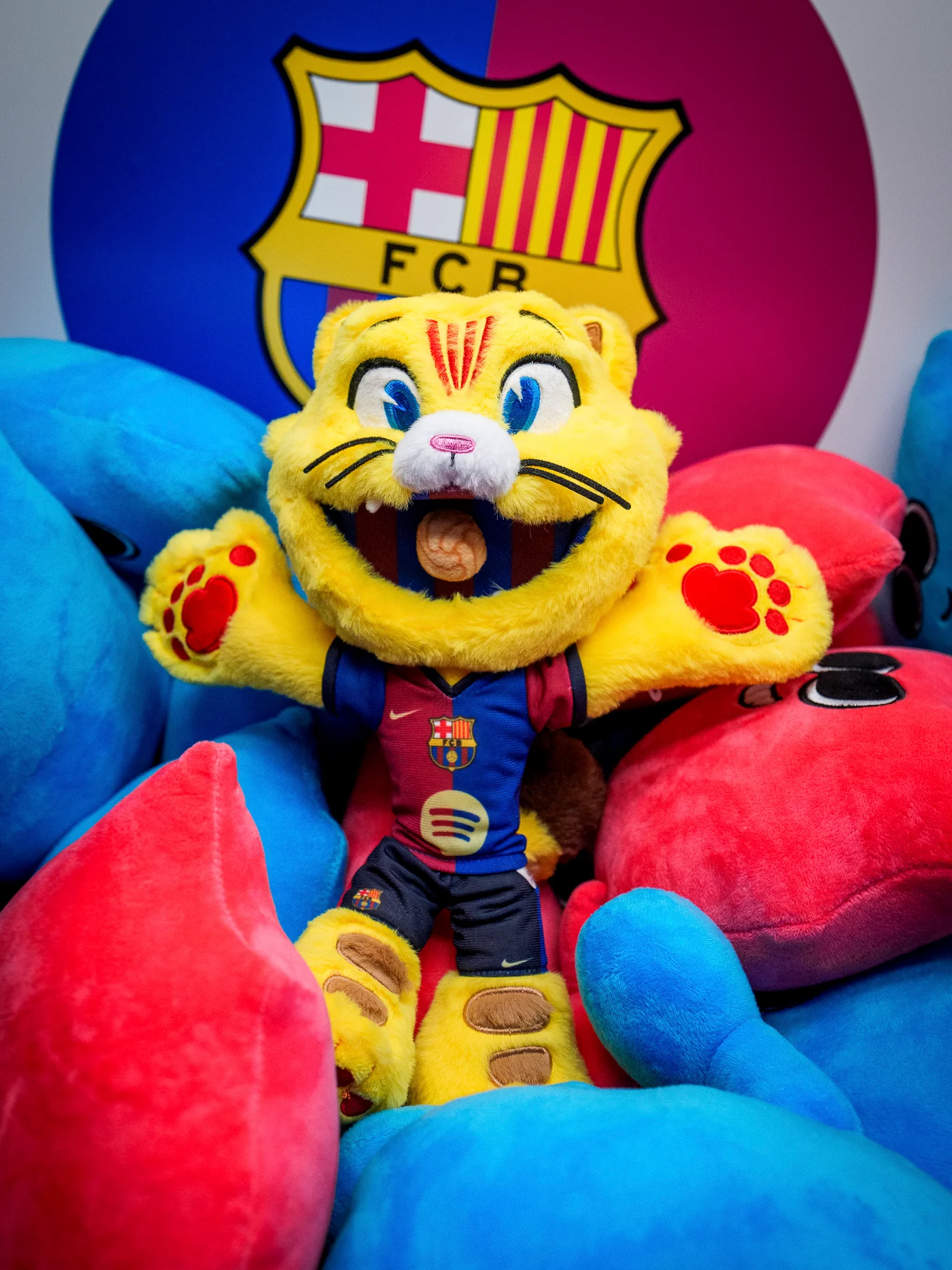 Teddy Cat Official FC Barcelona - Image 3